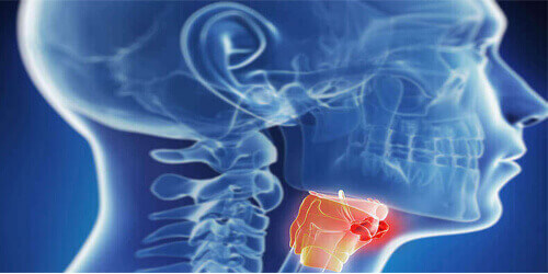 Head & Neck Oncology