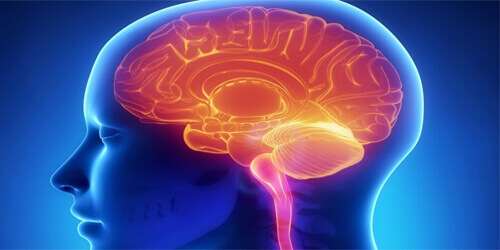 Endovascular Neurosurgery Detroit